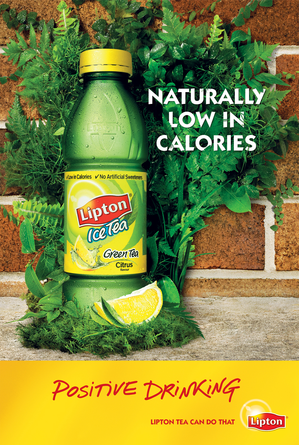 Lipton Green Citrus