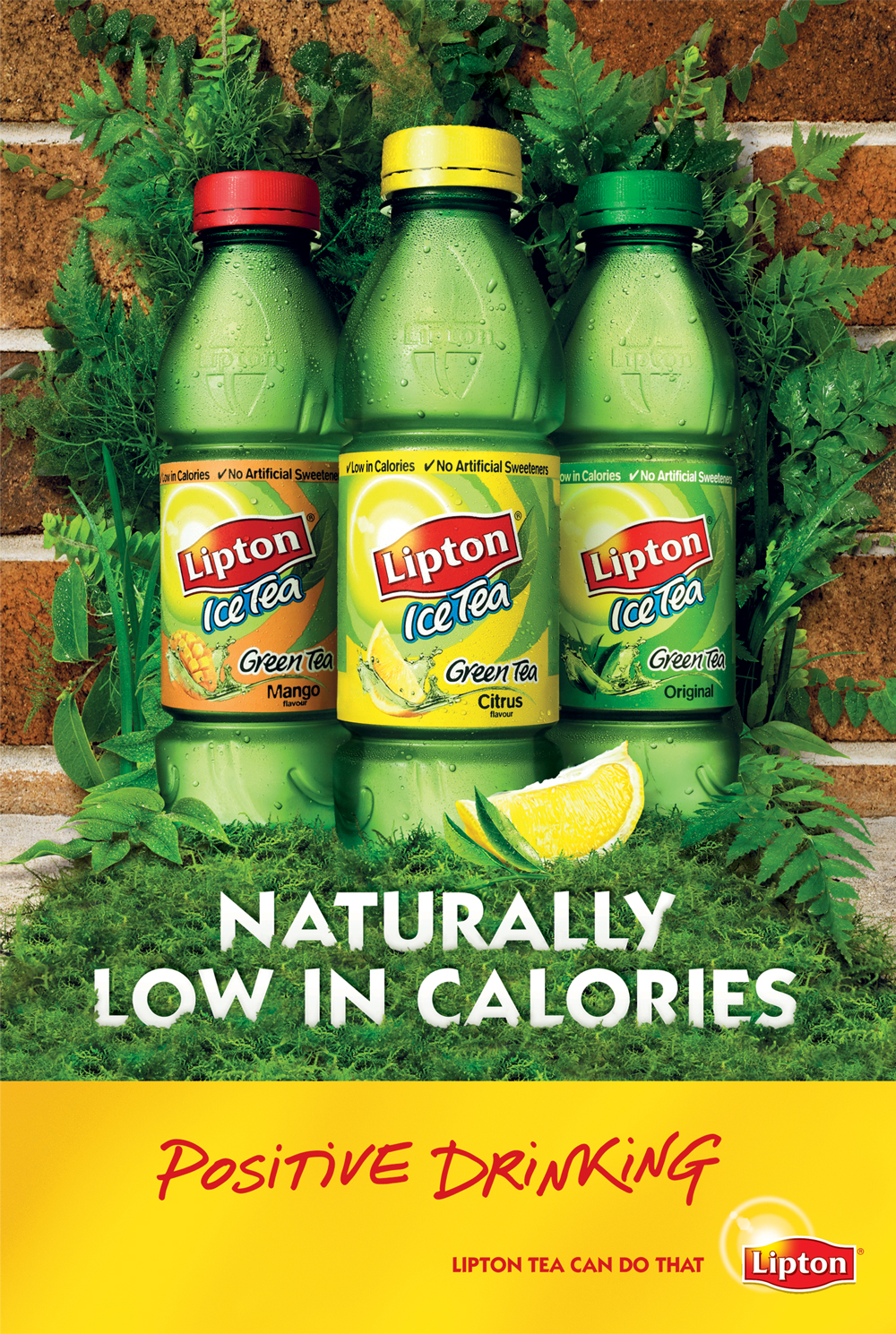 Lipton Green trio
